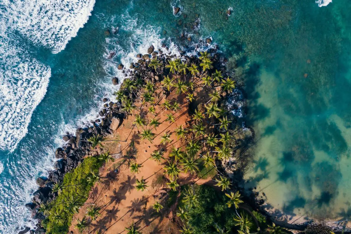 Aerial view of a beach in Sri Lanka